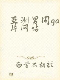 亚洲男同gay片网站