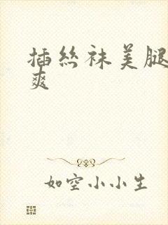 插丝袜美腿老师爽封面