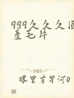 999久久久国产毛片