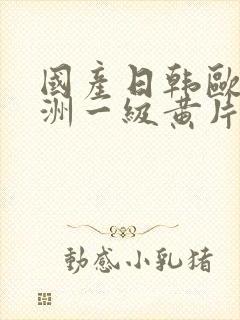 国产日韩欧美亚洲一级黄片封面