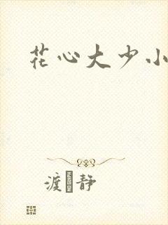 花心大少小说封面