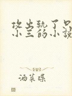 攻出轨了只爱男小三的小说