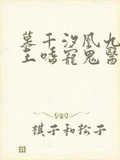 慕千汐凰九夜邪王嗜宠鬼医狂妃