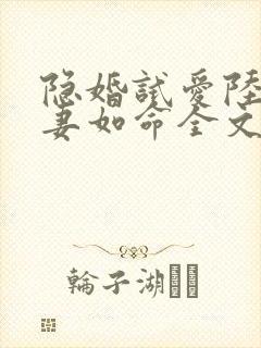 隐婚试爱陆总宠妻如命全文免费阅读