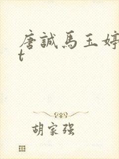 唐诚马玉婷txt封面