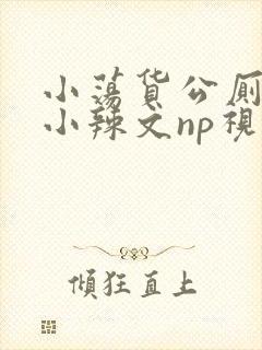 小荡货公厕h文小辣文np视频