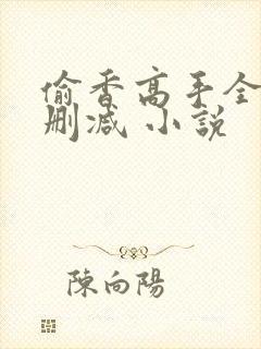 偷香高手全文无删减 小说