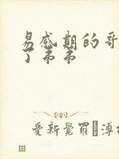 易感期的哥哥c了弟弟