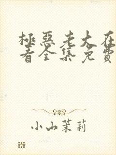 极恶老大在线观看全集免费播放