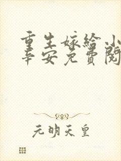 重生嫁给小叔子辛安免费阅读