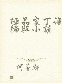 极品家丁洛凝改编版小说