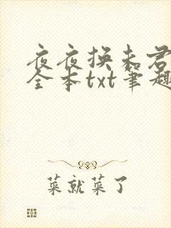夜夜换未君雪漓全本txt笔趣阁