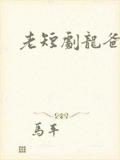 老短剧龙爸风云