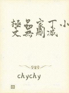 极品家丁小说全文无删减封面