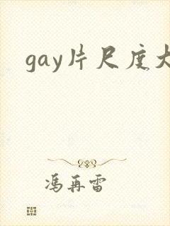 gay片尺度大