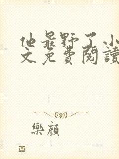 他最野了小说全文免费阅读无弹窗