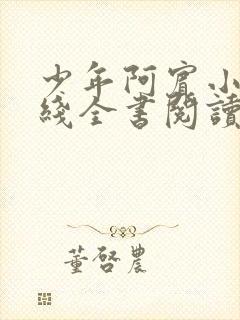 少年阿宾小说在线全书阅读无弹窗免费