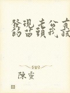 发现老公有出轨的苗头我该怎么做