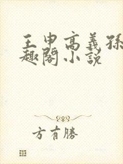 王申高义孙倩笔趣阁小说