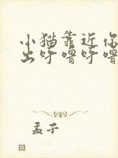 小猫靠近你时发出呼噜呼噜的声音封面