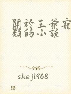 关于王爷宠王妃类的小说