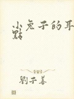 小兔子的耳朵特点