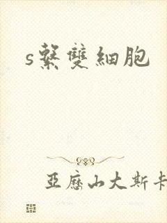 s系双细胞