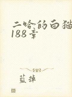 二哈的白猫师尊188章