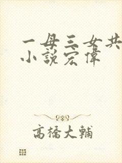一母三女共一婿小说宏伟