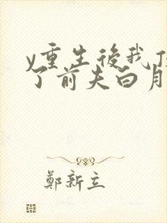 y重生后我顶替了前夫白月光