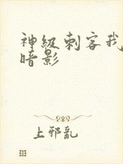 神级刺客我即是暗影