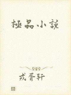 极品小说