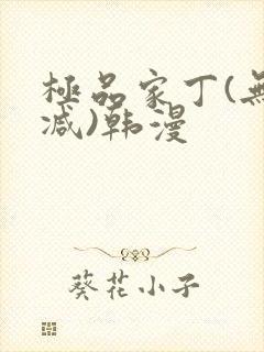 极品家丁(无删减)韩漫