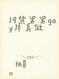 19禁男男gay片真做