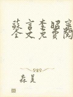 苏言李昭宁小说全文免费阅读