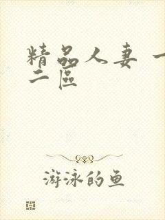 精品人妻 一区二区