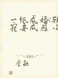 一纸成婚:顾少宠妻成瘾 小说封面