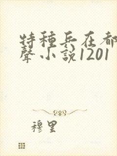 特种兵在都市有声小说1201