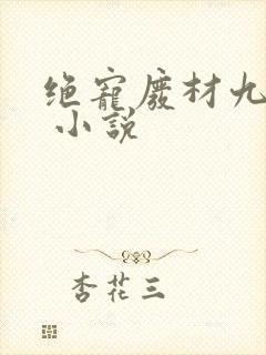 绝宠废材九小姐 小说封面