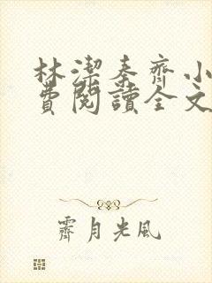 林洁秦齐小说免费阅读全文最新章节