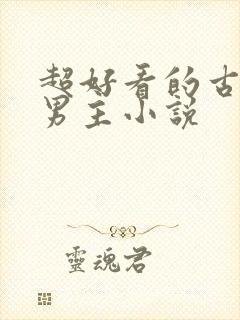 超好看的古风双男主小说封面