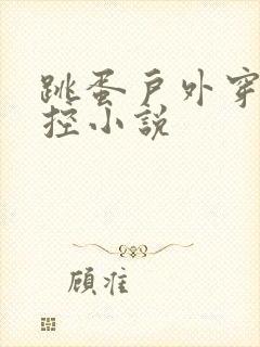 跳蛋户外穿戴遥控小说