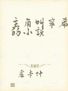 主角叫宁希叶凡的小说