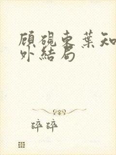 顾砚东叶知安番外结局