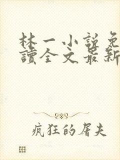 林一小说免费阅读全文最新章节