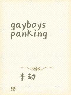 gayboyspanking封面