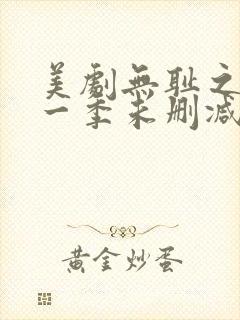 美剧无耻之徒第一季未删减