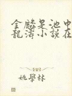 金麟是池中物侯龙涛小说在线