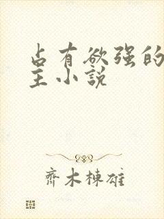 占有欲强的双男主小说封面