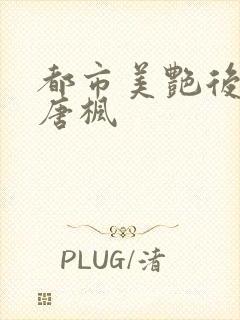 都市美艳后宫 唐枫封面